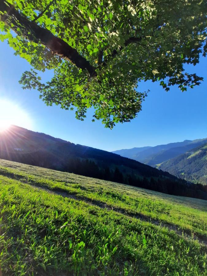 Pension Aberger Saalbach-Hinterglemm Eksteriør bilde